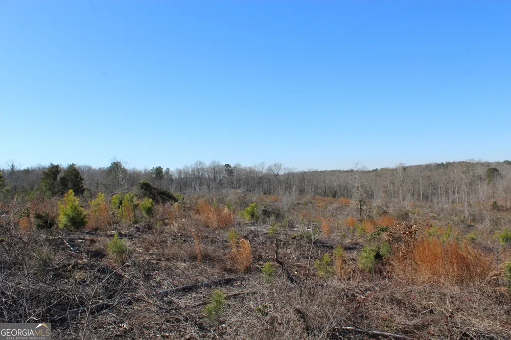 57+/- AC Victory RD Franklin, GA 30217