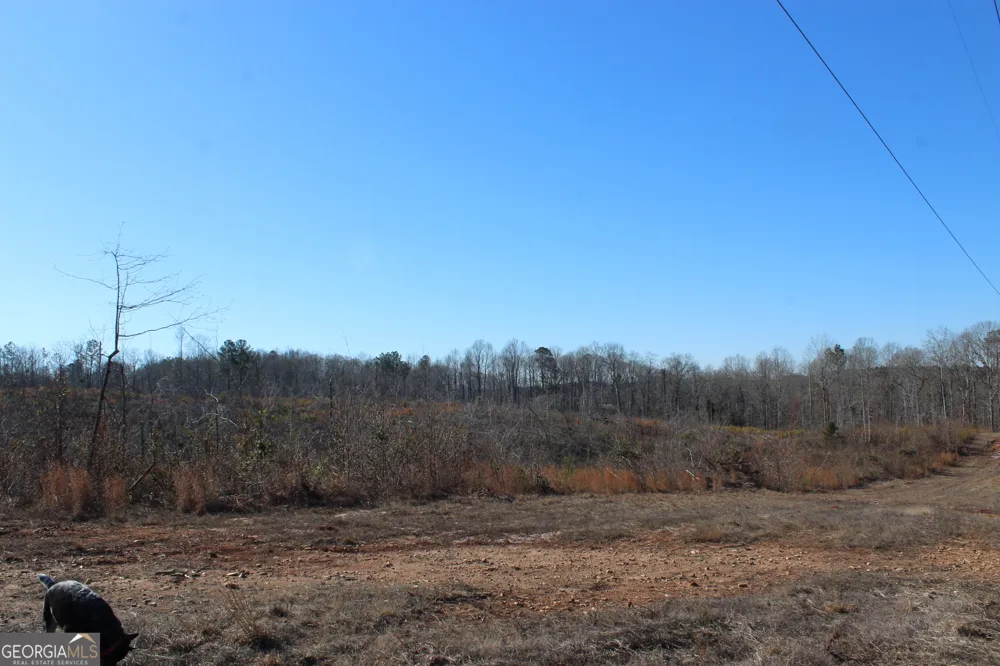 57+/- AC Victory RD Franklin, GA 30217