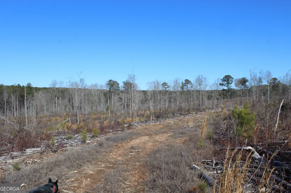 57+/- AC Victory RD Franklin, GA 30217