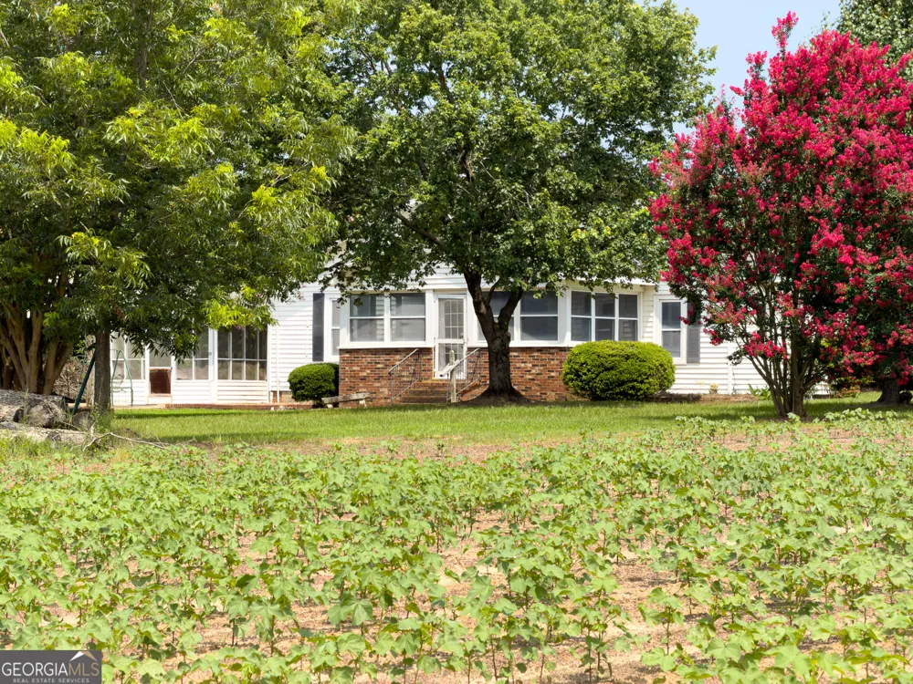 1300 Terry DR Stapleton, GA 30823