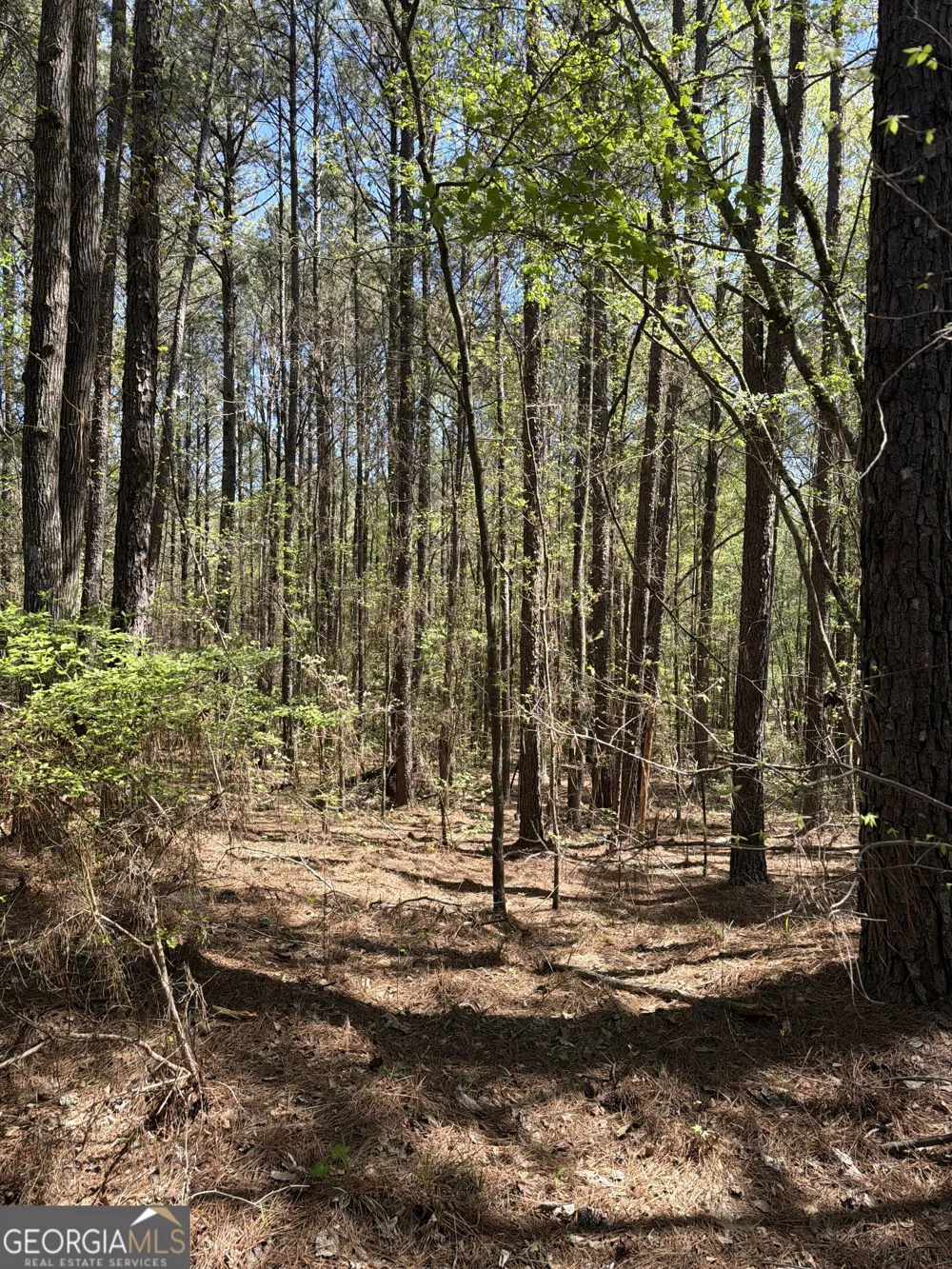 0 Old Union Point RD Greensboro, GA 30642