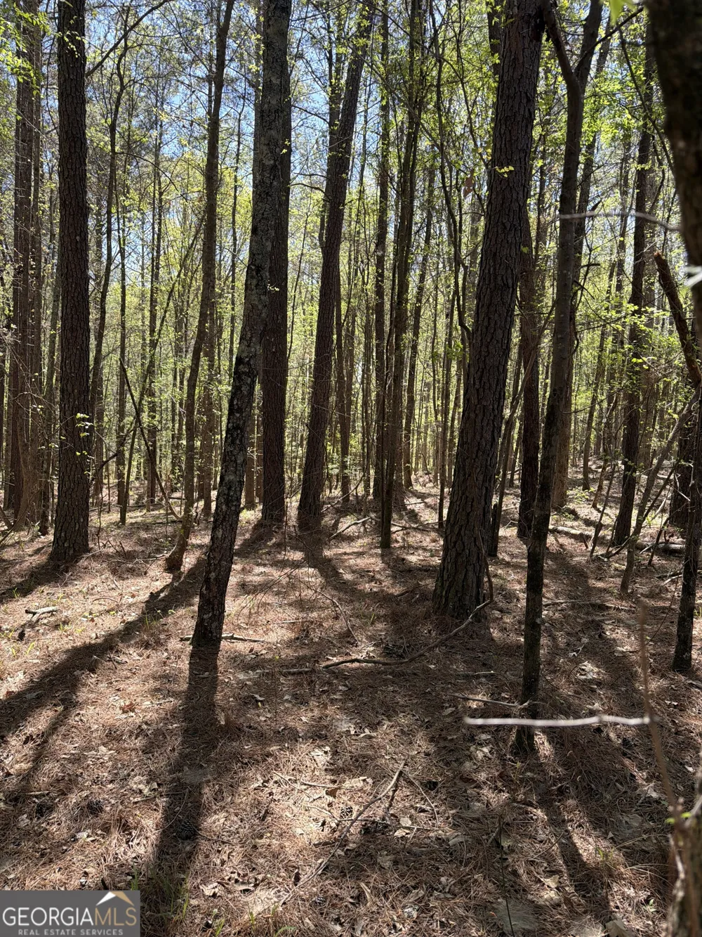0 Old Union Point RD Greensboro, GA 30642