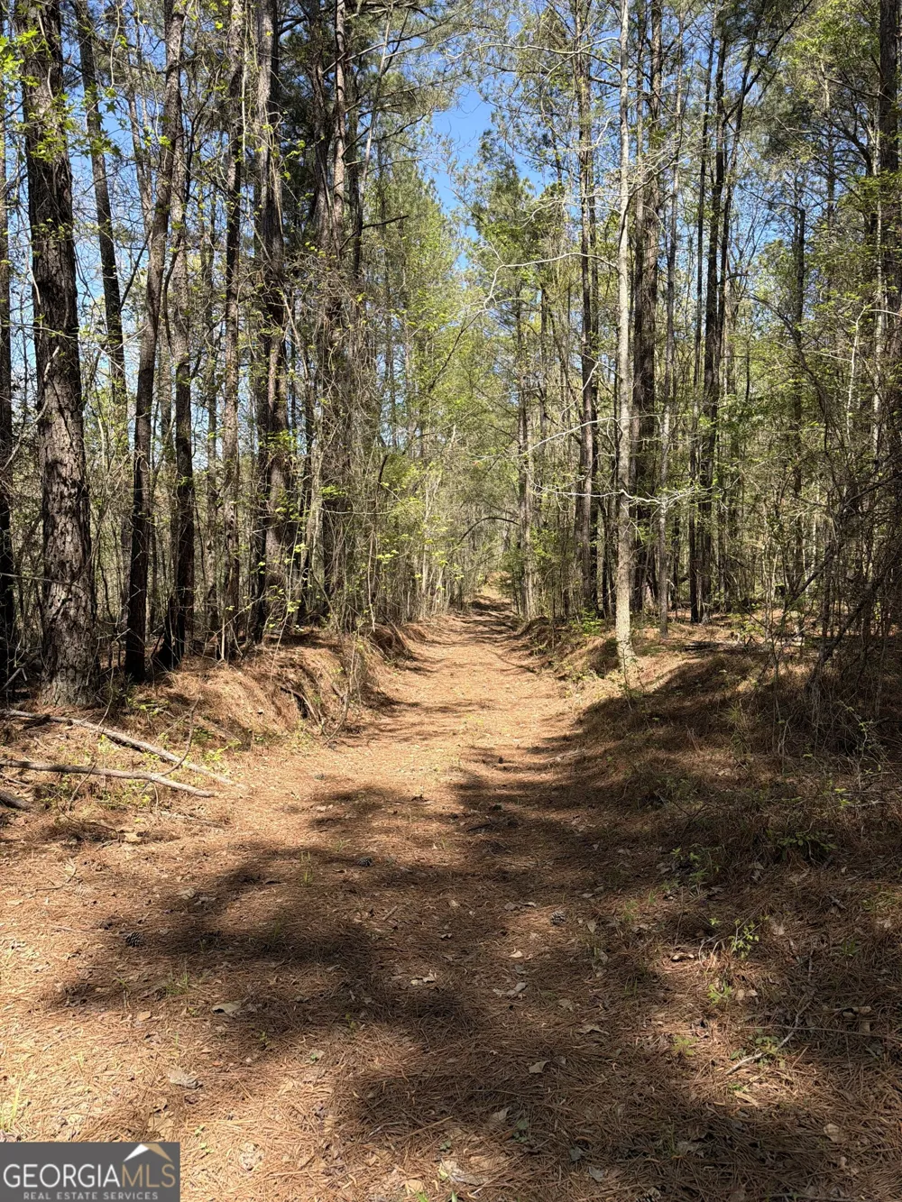0 Old Union Point RD Greensboro, GA 30642