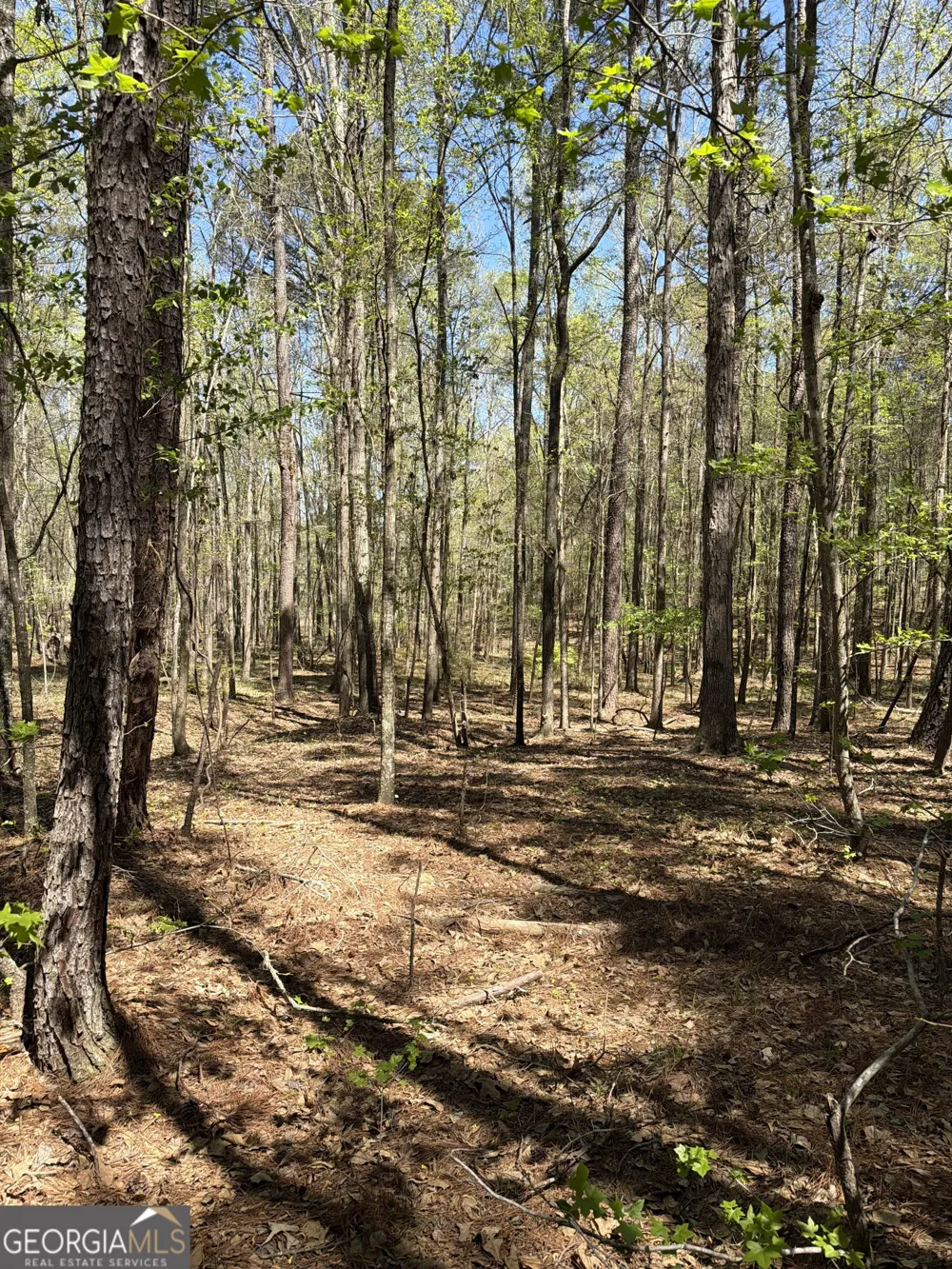 0 Old Union Point RD Greensboro, GA 30642