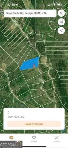 0 Ridge Pointe WAY Blairsville, GA 30512