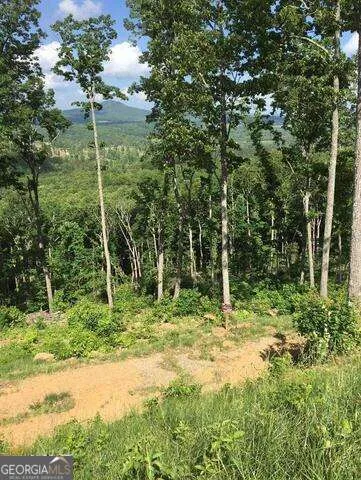 0 Ridge Pointe WAY Blairsville, GA 30512
