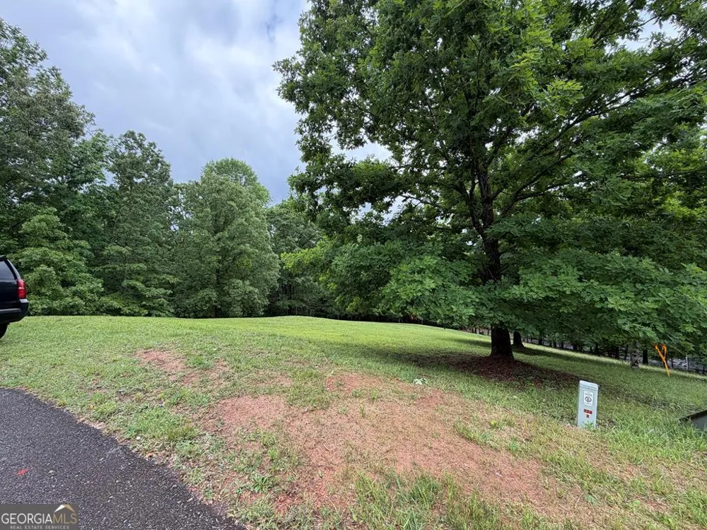 0 Drake Ridge Lane Hayesville, NC 28904