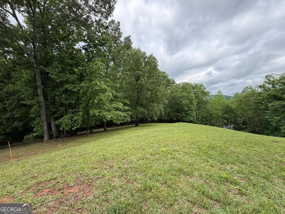 0 Drake Ridge Lane Hayesville, NC 28904
