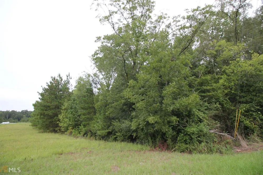 675 Dunlap RD NE Milledgeville, GA 31061