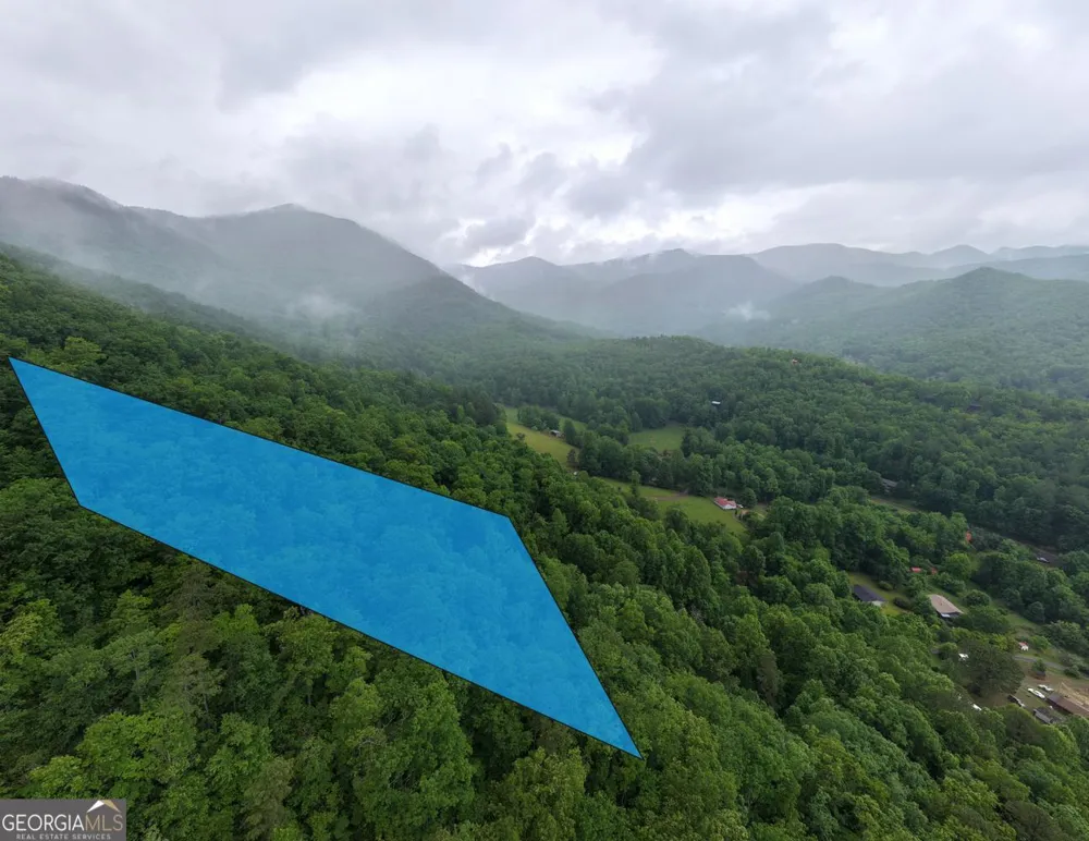 20 Eagle Heights RD Hiawassee, GA 30546