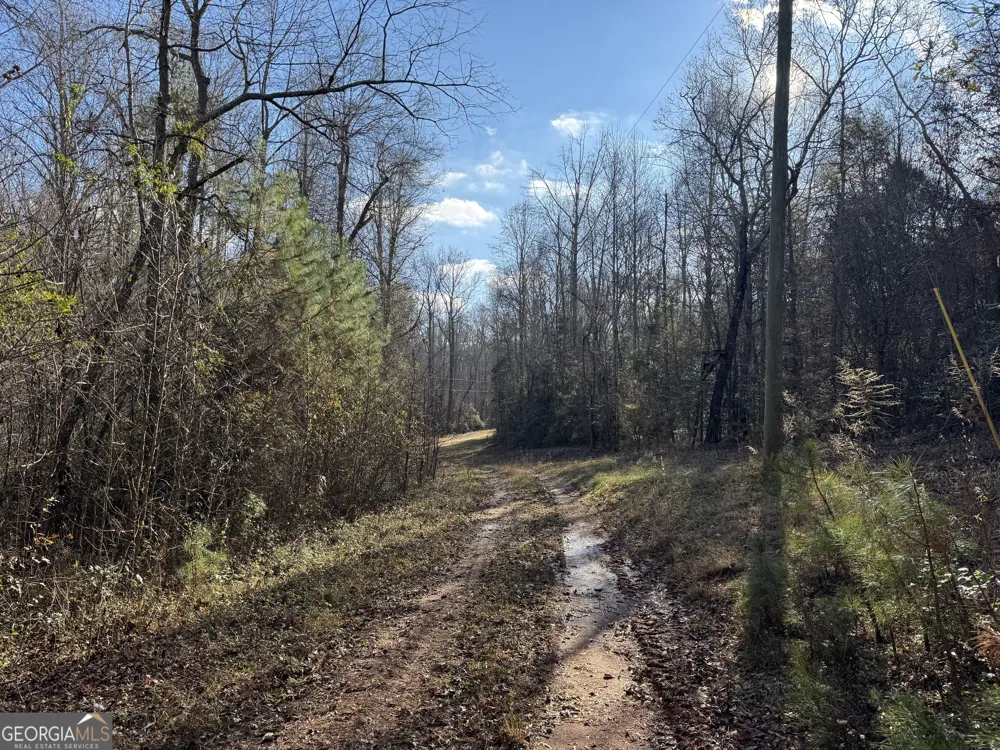 1190 James Adams RD Danielsville, GA 30633