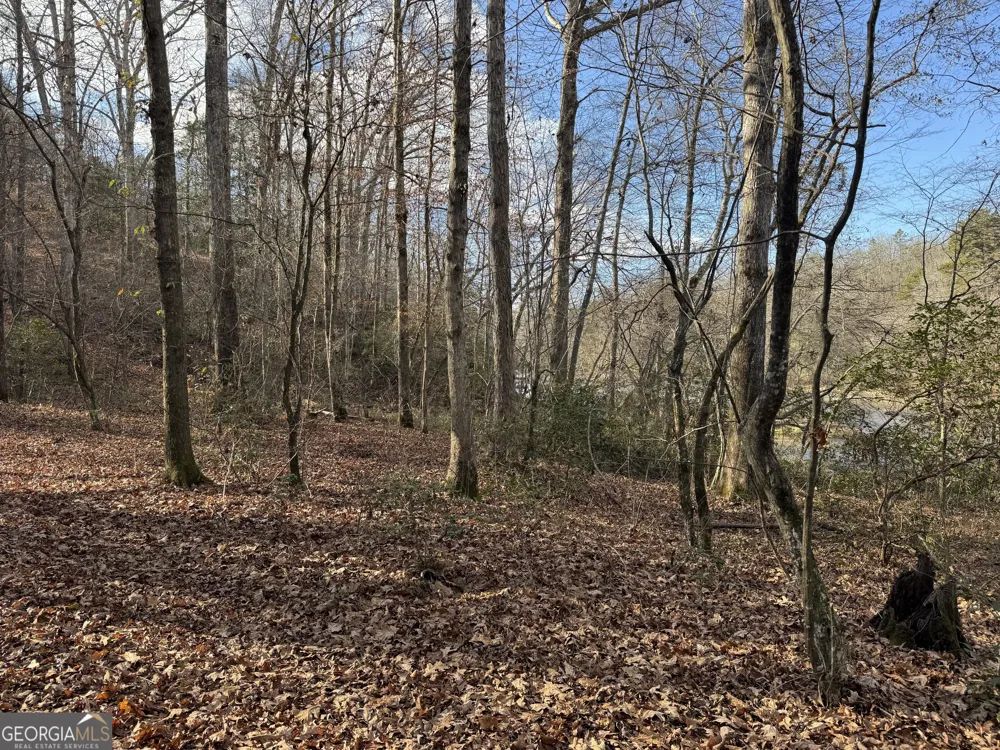 1190 James Adams RD Danielsville, GA 30633