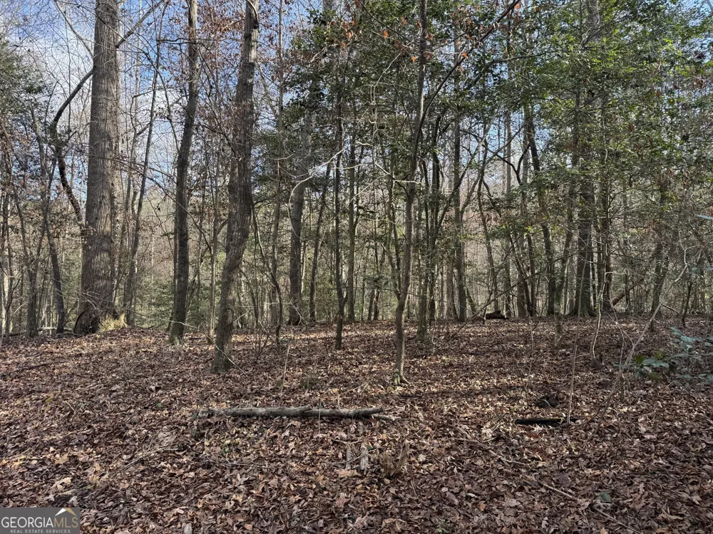 1190 James Adams RD Danielsville, GA 30633