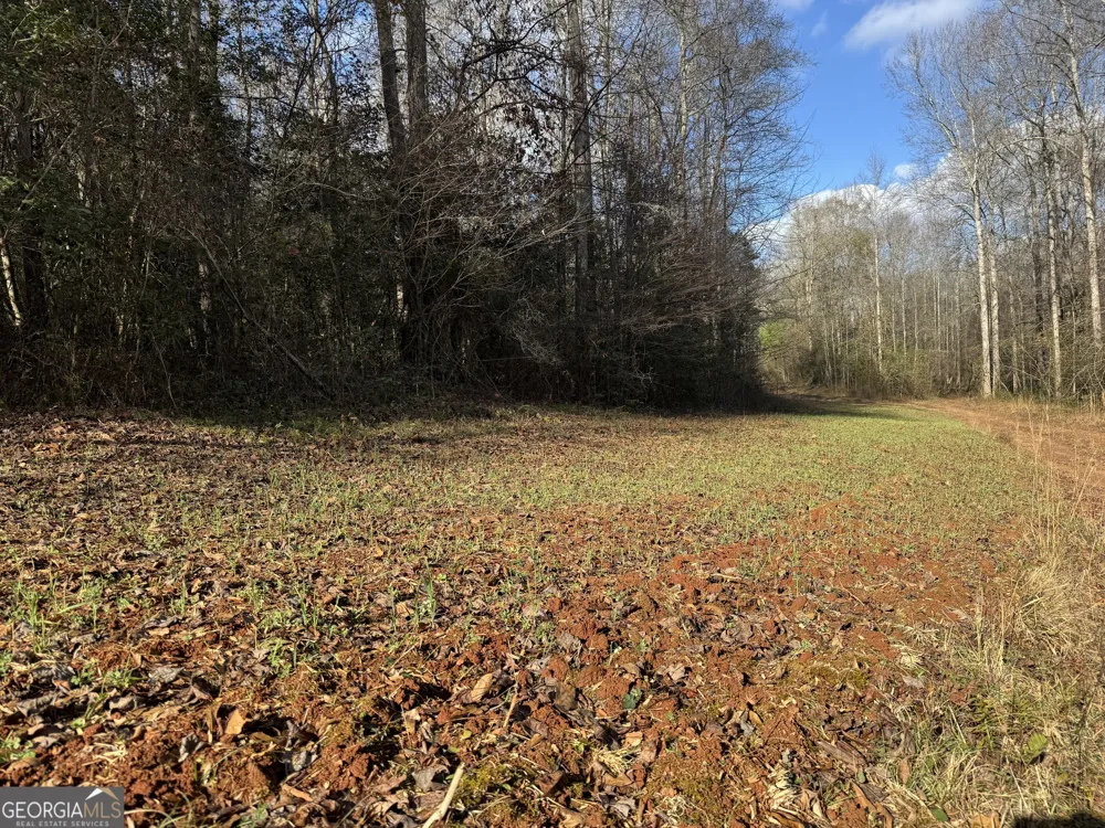 1190 James Adams RD Danielsville, GA 30633