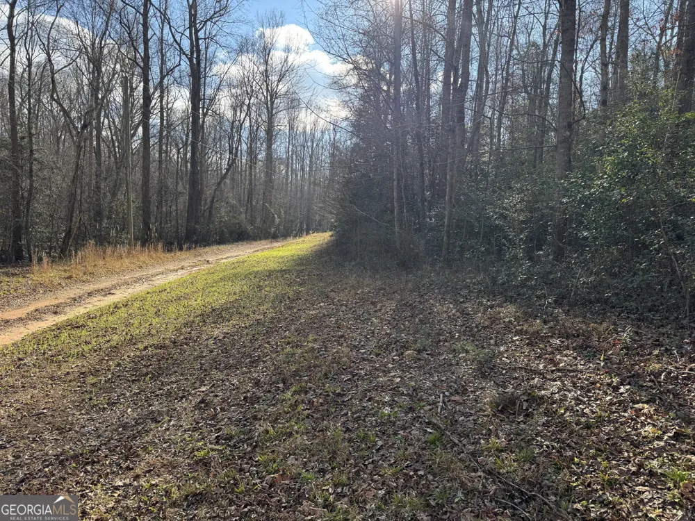 1190 James Adams RD Danielsville, GA 30633