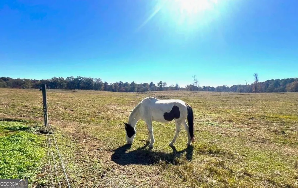 486 County Line RD Resaca, GA 30735