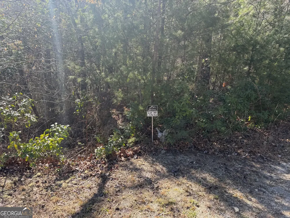 0 Shadow Mountain DR Dillard, GA 30537