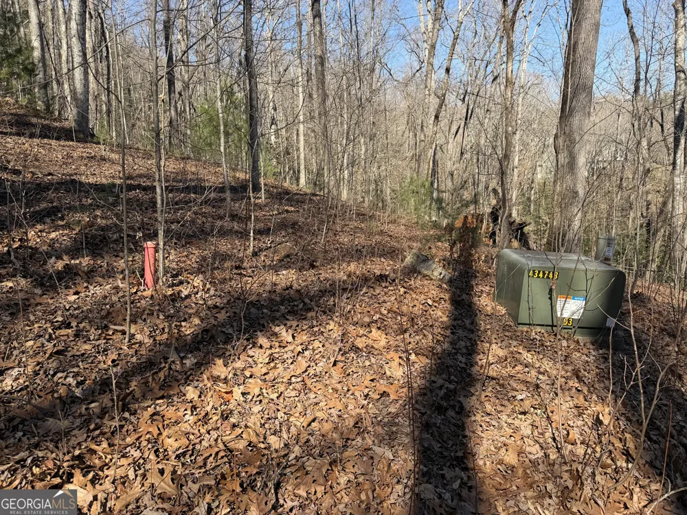 0 Shadow Mountain DR Dillard, GA 30537