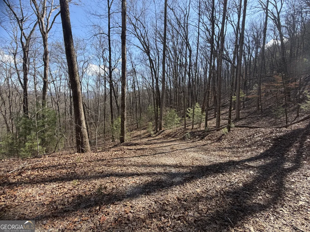 0 Shadow Mountain DR Dillard, GA 30537