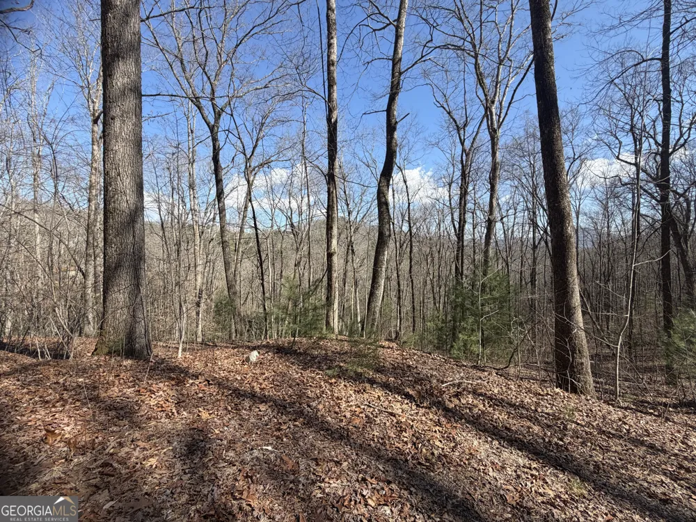 0 Shadow Mountain DR Dillard, GA 30537
