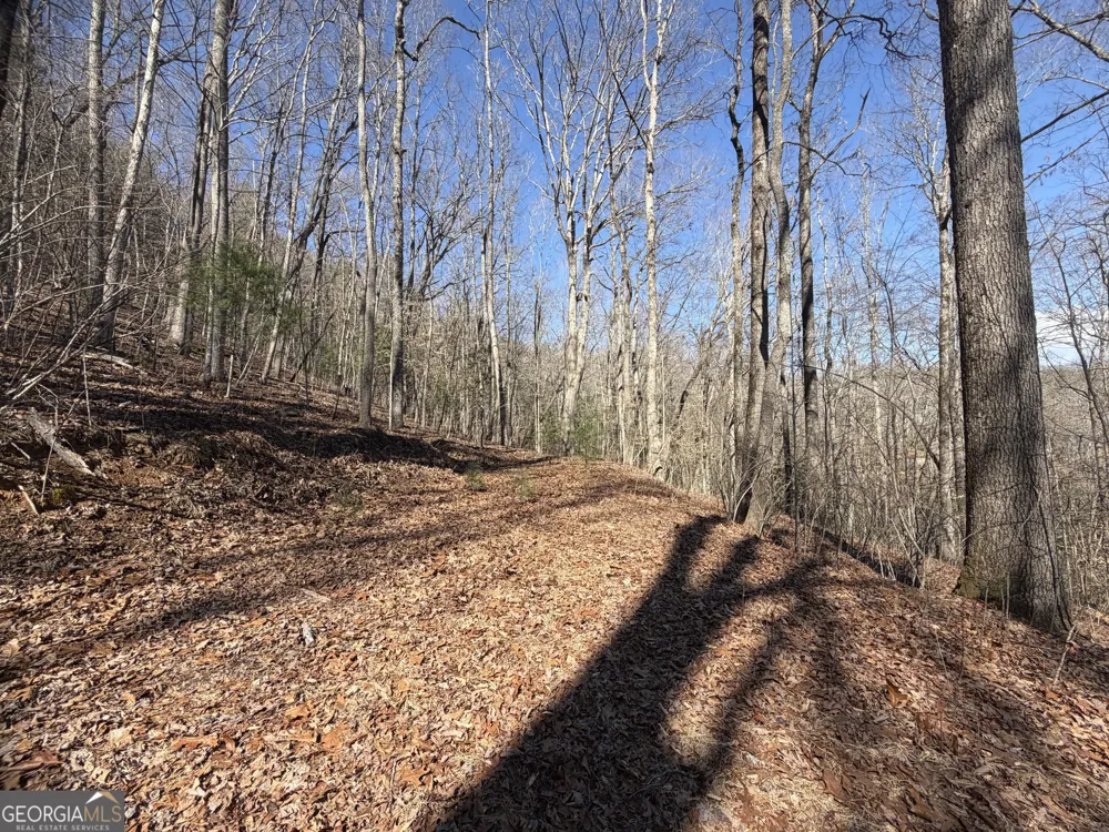 0 Shadow Mountain DR Dillard, GA 30537