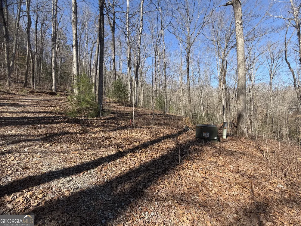 0 Shadow Mountain DR Dillard, GA 30537