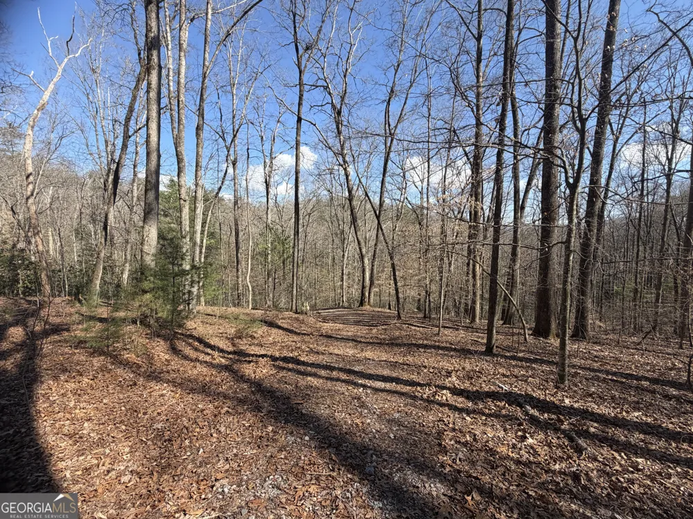 0 Shadow Mountain DR Dillard, GA 30537