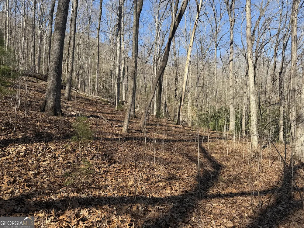 0 Shadow Mountain DR Dillard, GA 30537
