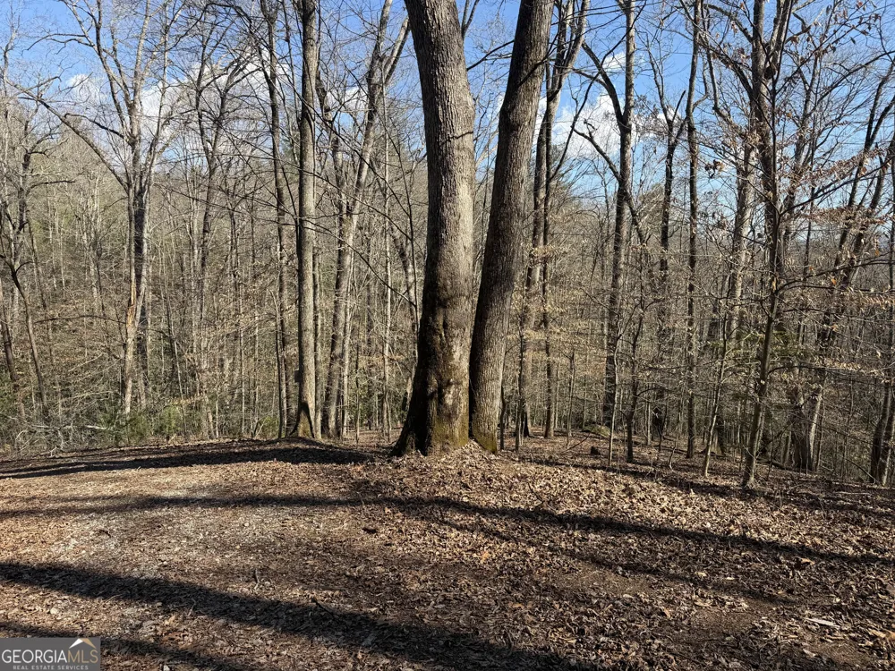 0 Shadow Mountain DR Dillard, GA 30537