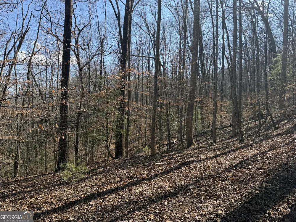0 Shadow Mountain DR Dillard, GA 30537