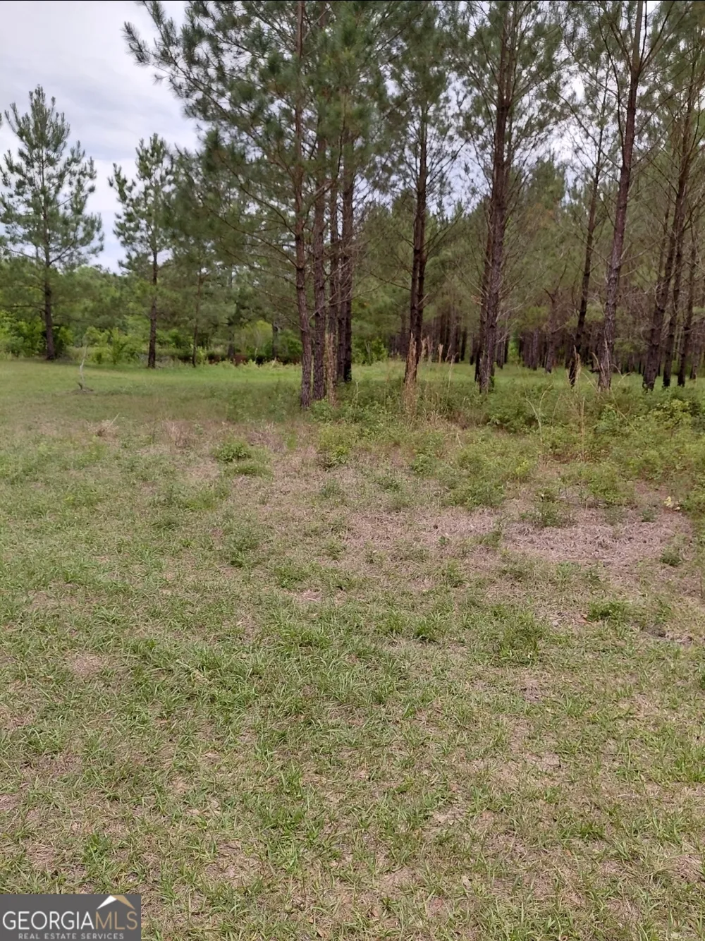 436 Russell BLVD St. George, GA 31562