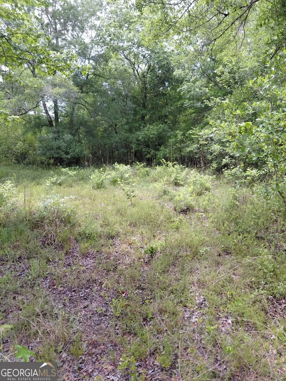 436 Russell BLVD St. George, GA 31562