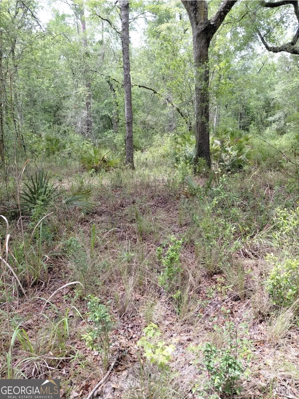 436 Russell BLVD St. George, GA 31562