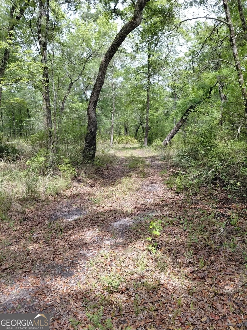 436 Russell BLVD St. George, GA 31562