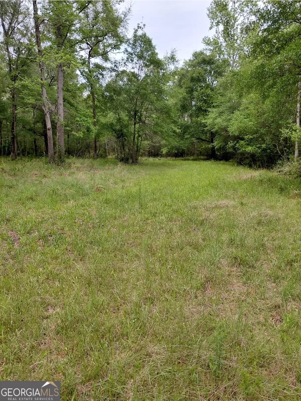 436 Russell BLVD St. George, GA 31562