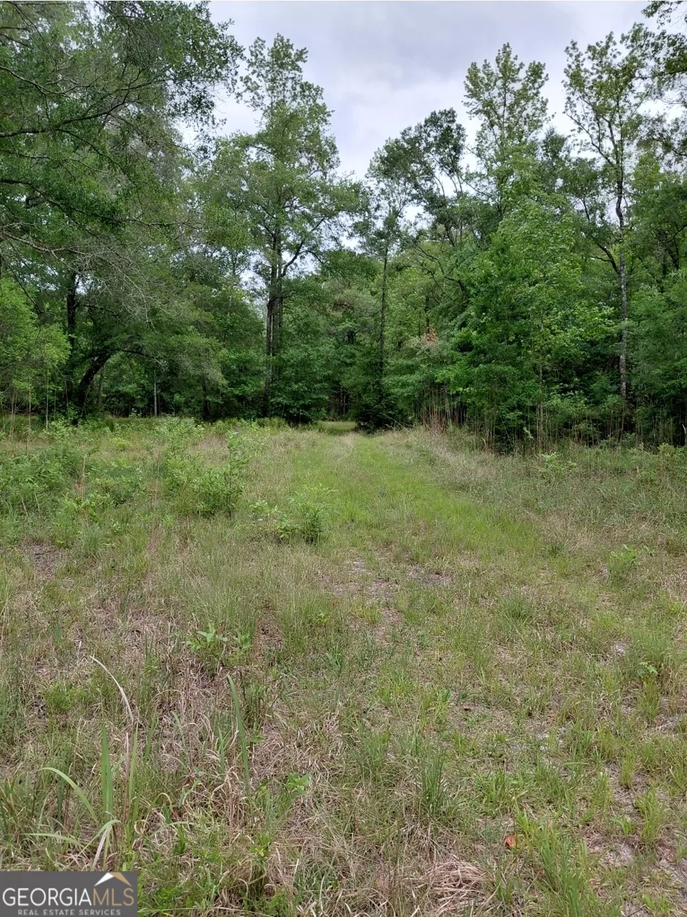 436 Russell BLVD St. George, GA 31562