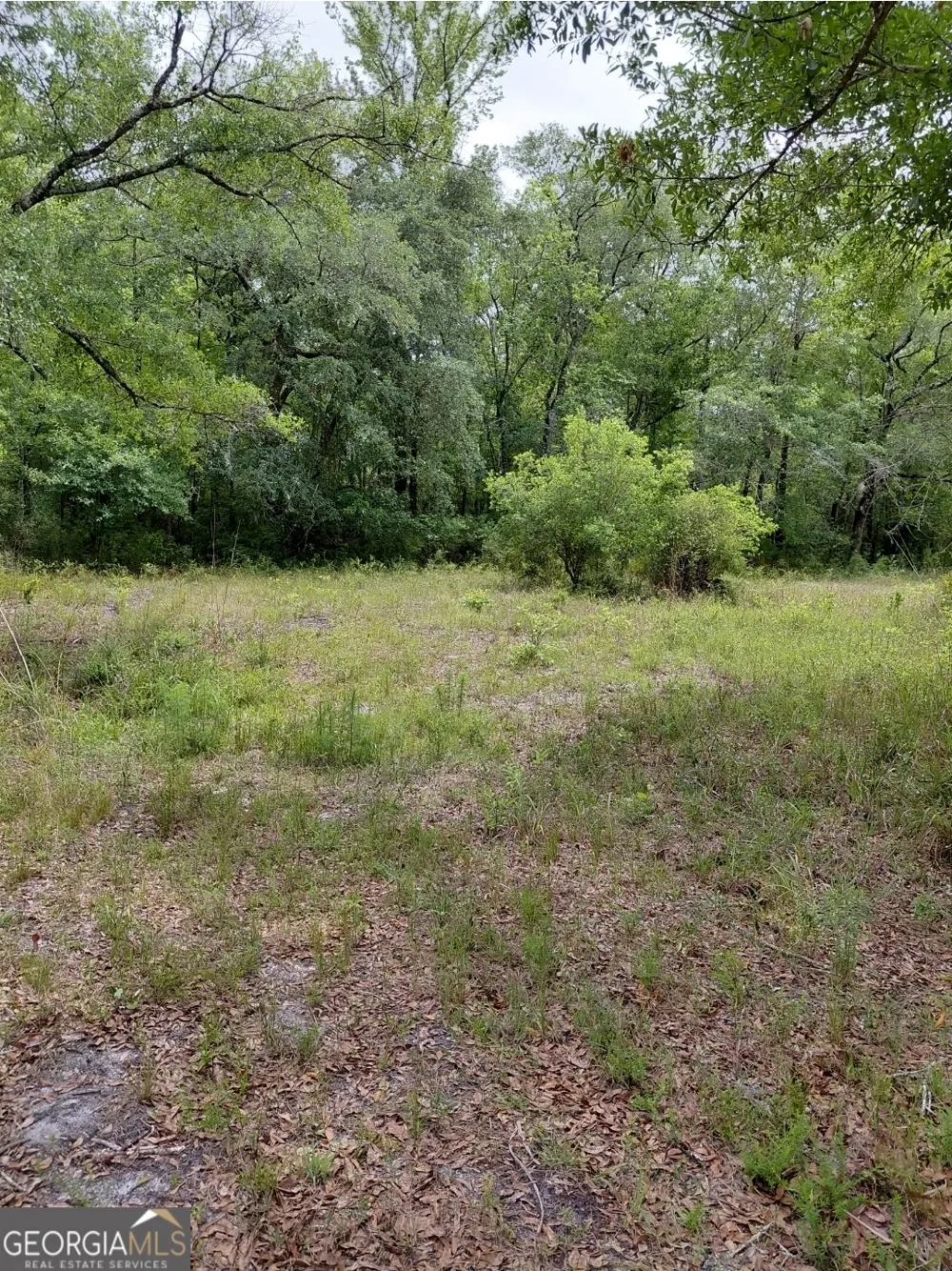 436 Russell BLVD St. George, GA 31562