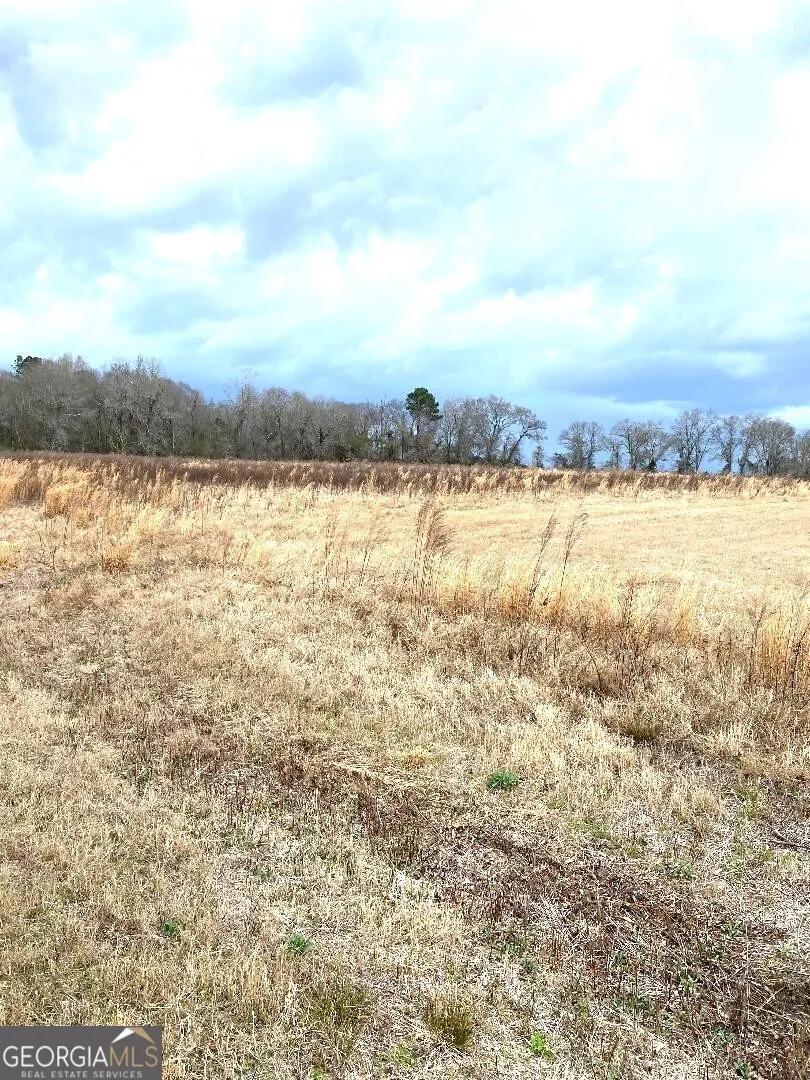 0 Allen Ranch RD Chester, GA 31012