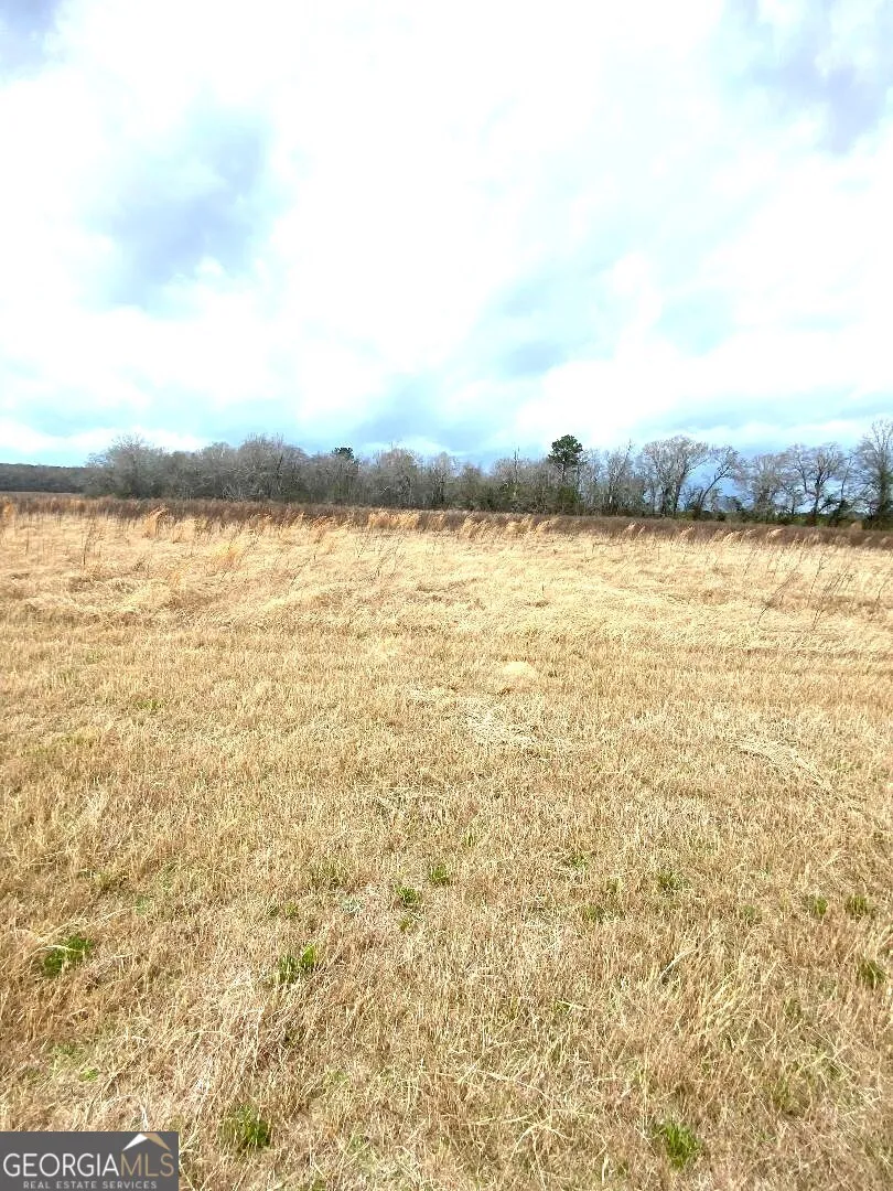 0 Allen Ranch RD Chester, GA 31012