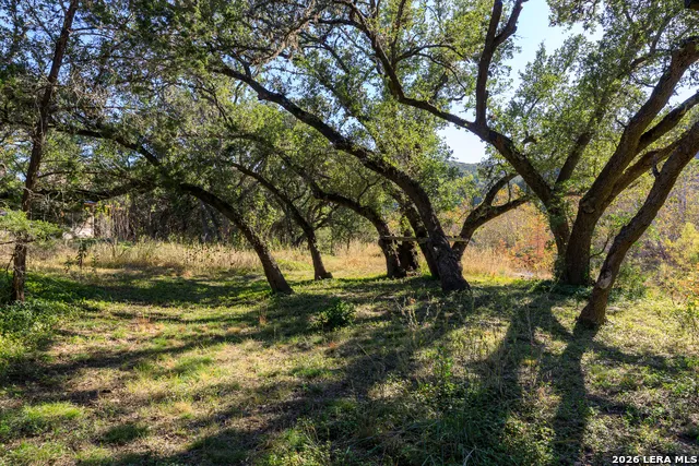 2269 Old Rocksprings Rd Leakey, TX 78873