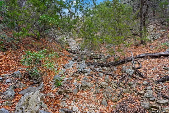 2269 Old Rocksprings Rd Leakey, TX 78873