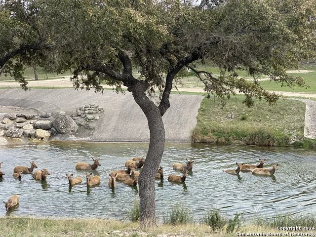 56 W Red Stage Pipe Creek, TX 78063