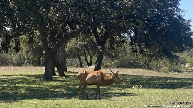 56 W Red Stage Pipe Creek, TX 78063