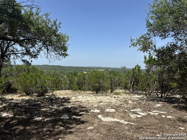 1229 Stallion Springs Dr Fischer, TX 78623