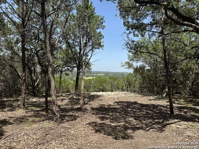 1229 Stallion Springs Dr Fischer, TX 78623