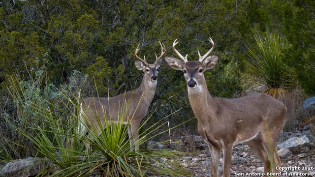 TBD Us Highway 377 Del Rio, TX 78840