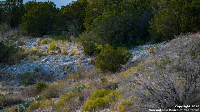 TBD Us Highway 377 Del Rio, TX 78840