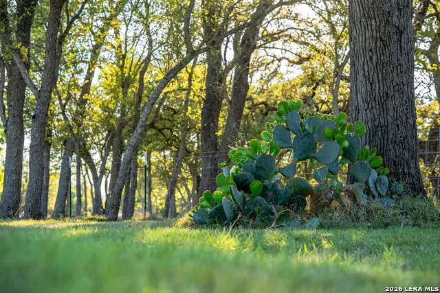 2873 Ranch Road 1888 Fredericksburg, TX 78624
