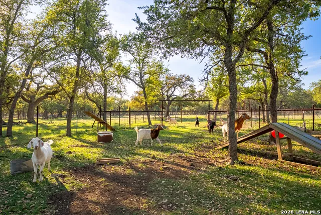 2873 Ranch Road 1888 Fredericksburg, TX 78624