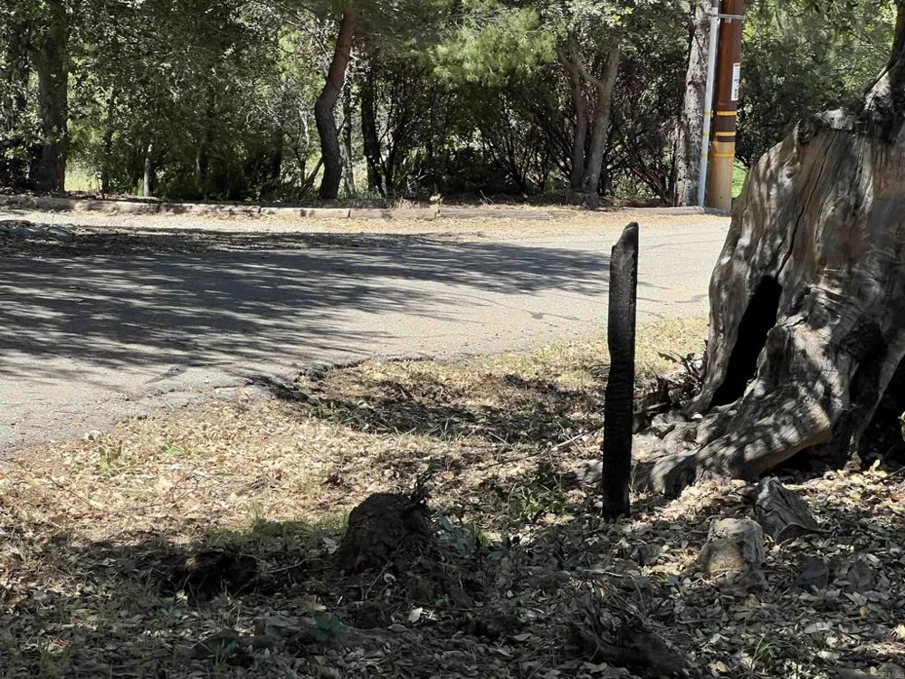 Harrison Park Road Julian, CA 92036
